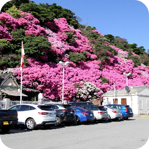 황매산 군립공원 주차 이미지