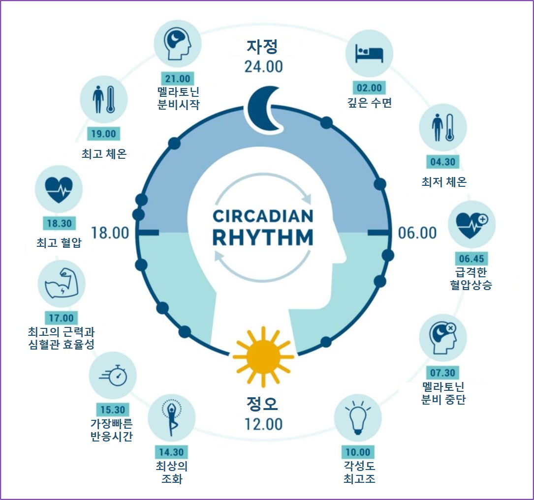 잠 수면