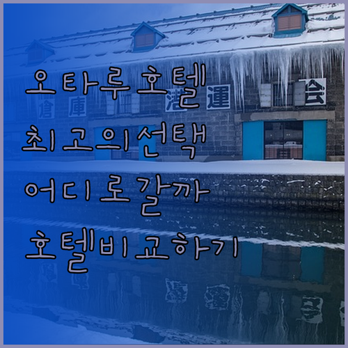 오타루의 다양한 호텔들 중 최고의 선