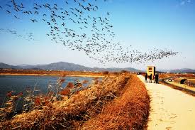 10월 경남 가볼만한곳 베스트