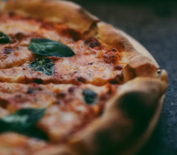 피자알볼로 창업에 대하여 알아보기