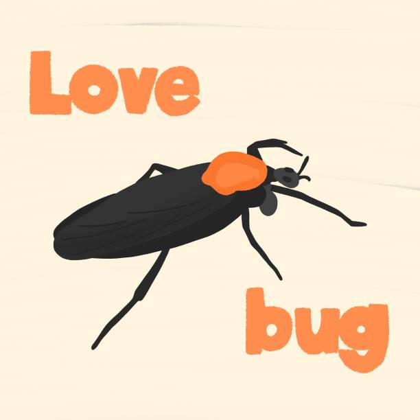 러브버그 퇴치방법