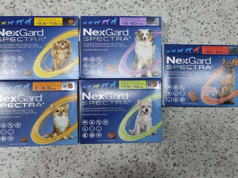 4.1 새봄약국 운영 정보