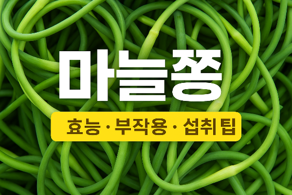 마늘쫑의 효능과 효과 영양소 및 부작용 알아보기