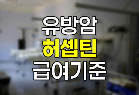 허셉틴 급여 기준 완벽 정리, 유방암 환자의 경제적 부담 줄이는 방법