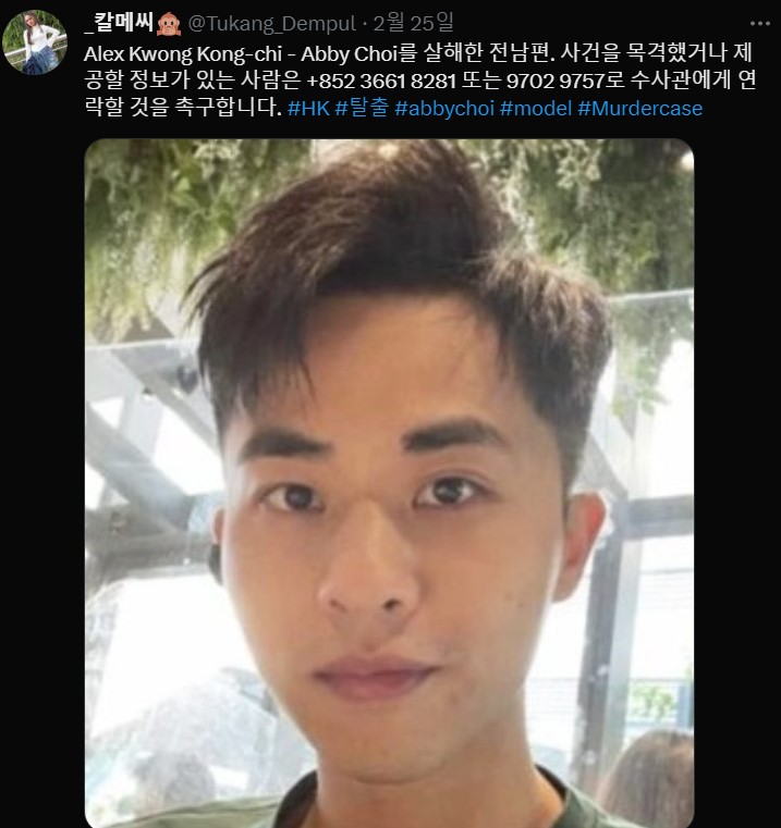 애비 최 남편