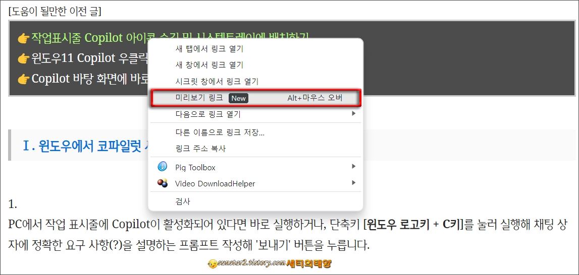 크롬_웹페이지에서_페이지미리보기_기능_사용법_1