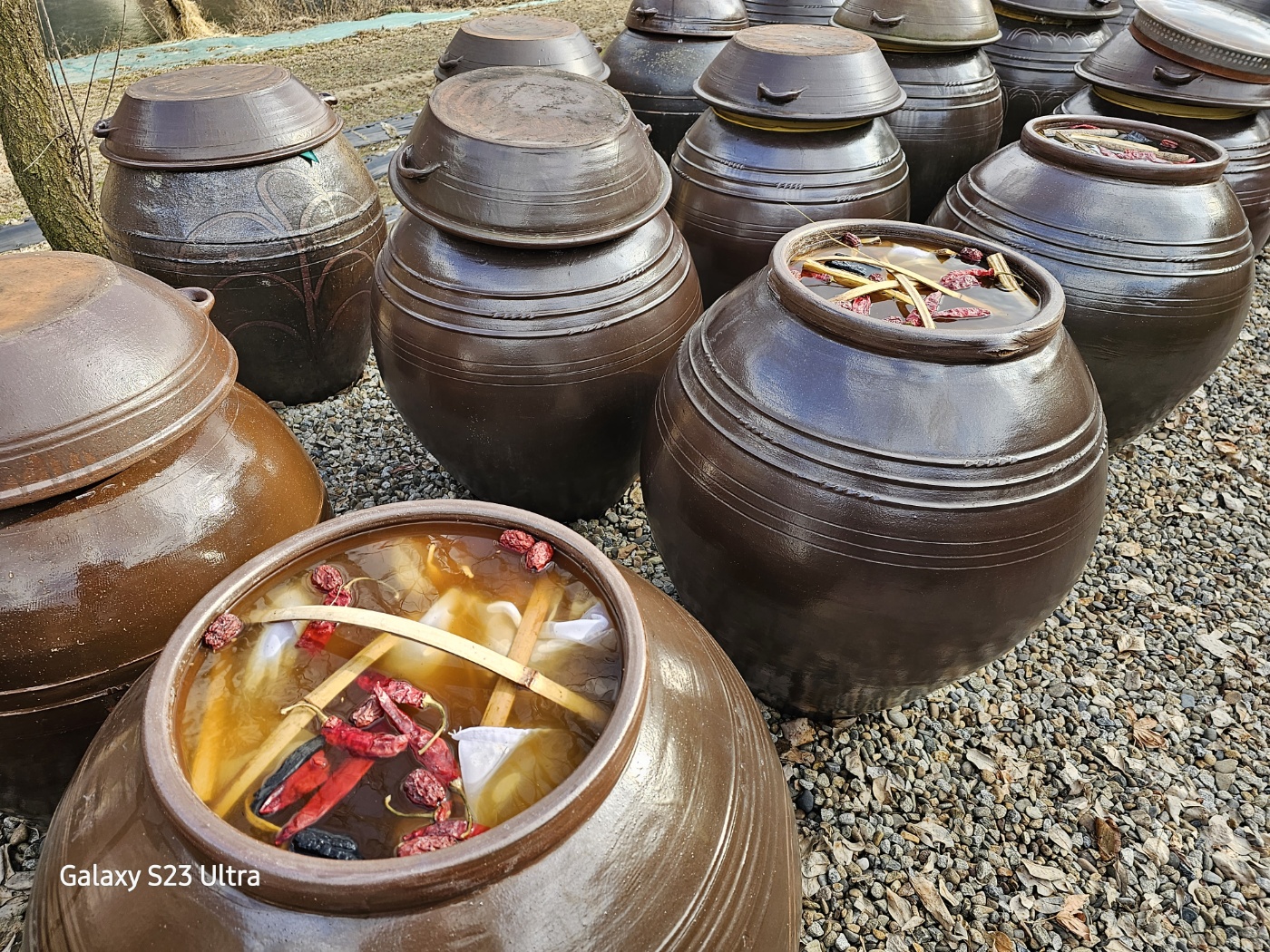 전통메주 판매하는곳, 국산콩메주 예약 메주 한말 가격