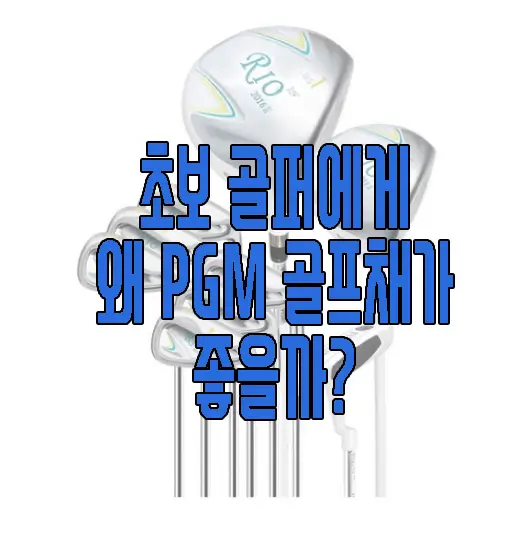 PGM골프채에 관한 글 보러 가기 링크 사진