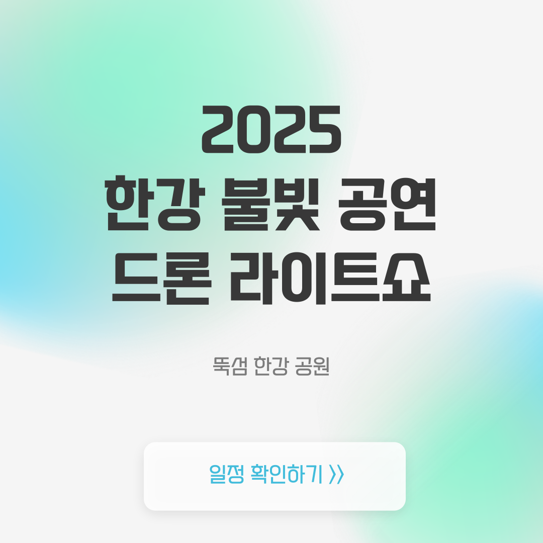 2025 한강 불빛 공연 드론 쇼