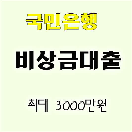 KB국민은행 비상금 대출