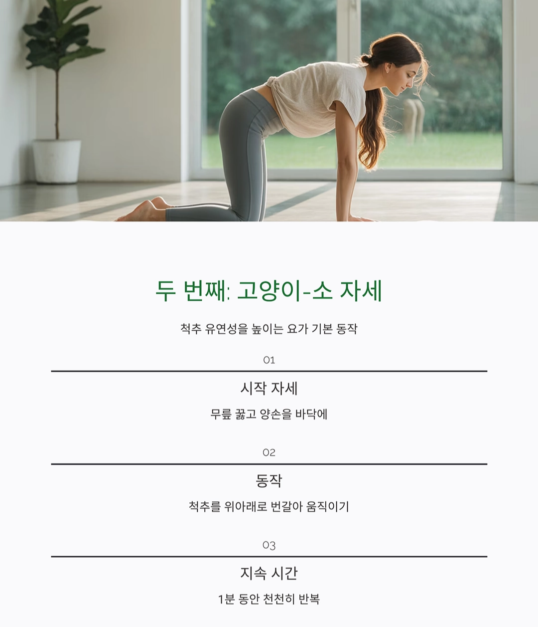 허리 통증 완화 운동, 하루 5분이면 충분한 이유