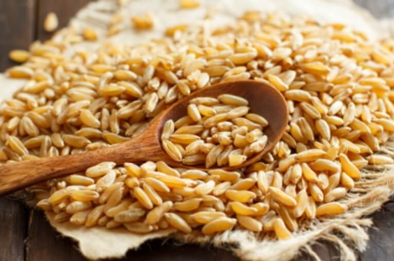 카무트 효소: 건강의 비밀을 찾아서