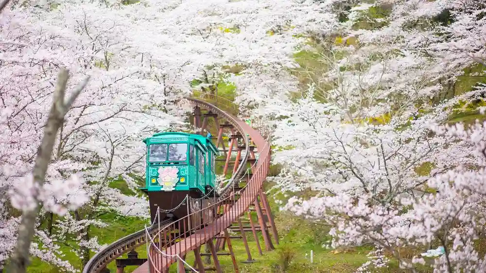 미야기현 시바타군(宮城県柴田郡)에 있는 후나오카 성터 공원 (船岡城址公園)