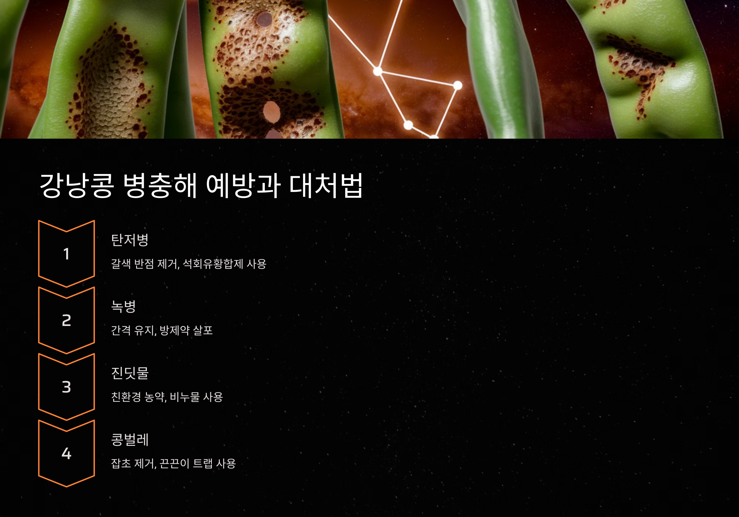 강낭콩 병충해 예방과 대처법