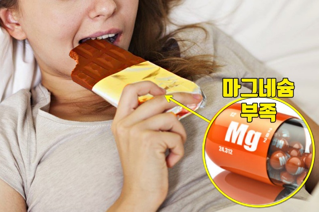 마그네슘 부족 증상 초콜릿,이상 식탐 식욕,건강,팁줌 매일꿀정보