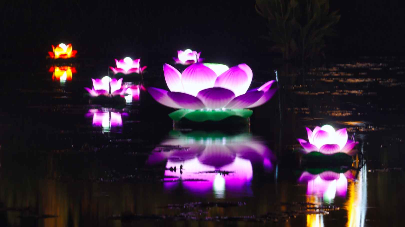 부여서동연꽃축제