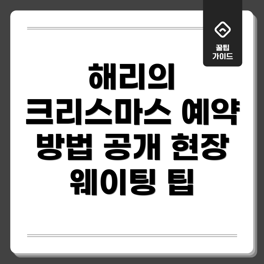 해리의 크리스마스 쇼