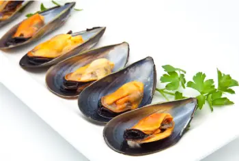 홍합 효능 및 영양성분&amp;#44; 가격