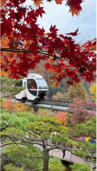 화담숲 단풍 절정시기 예약 방법까지 정리_7