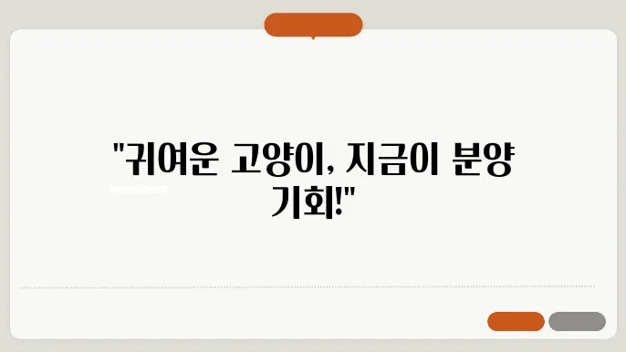 안산고양이분양을 위한 최적의 시기와 준비사항