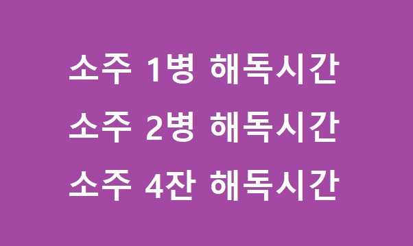 소주1병 해독시간