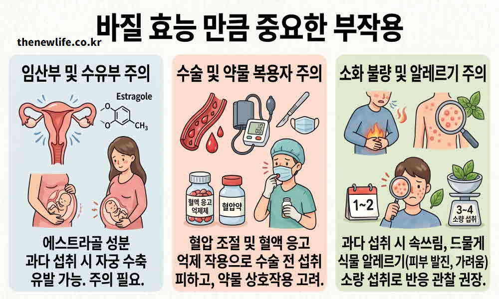 바질 효능 부작용