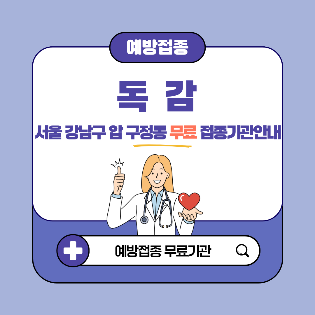서울 강남구 압구정동 독감 무료접종 대상 65세, 임산부, 어린이 예방접종 병원 확인 방법