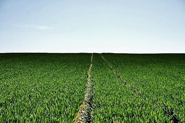 2024년 기본형 공익직불금 신청방법