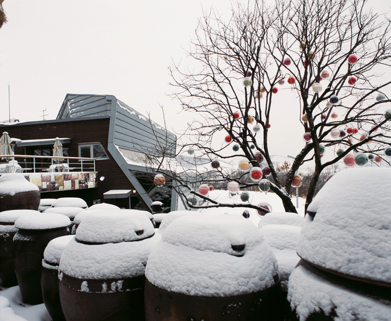 겨울에도 OK! 반려견과 함께하는 나들이 장소 BEST 7