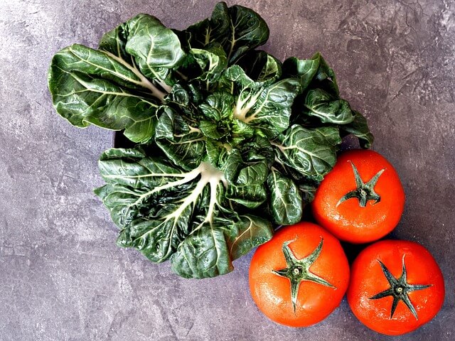 토마토 보관방법