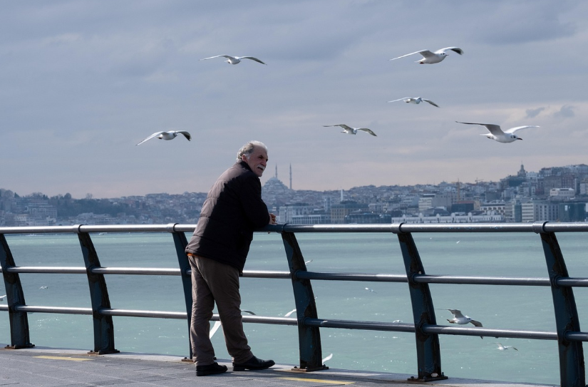 노화와 미각: 나이 들수록 입맛이 변하는 이유