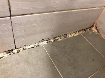 욕실 곰팡이 락스 희석비율과 안전수칙 환기방법_1