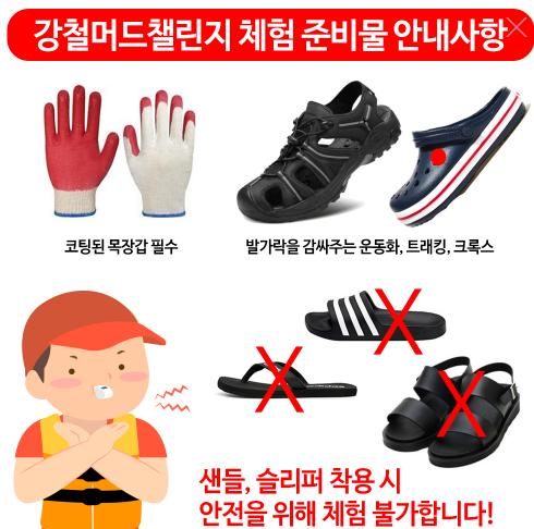 보령머드축제