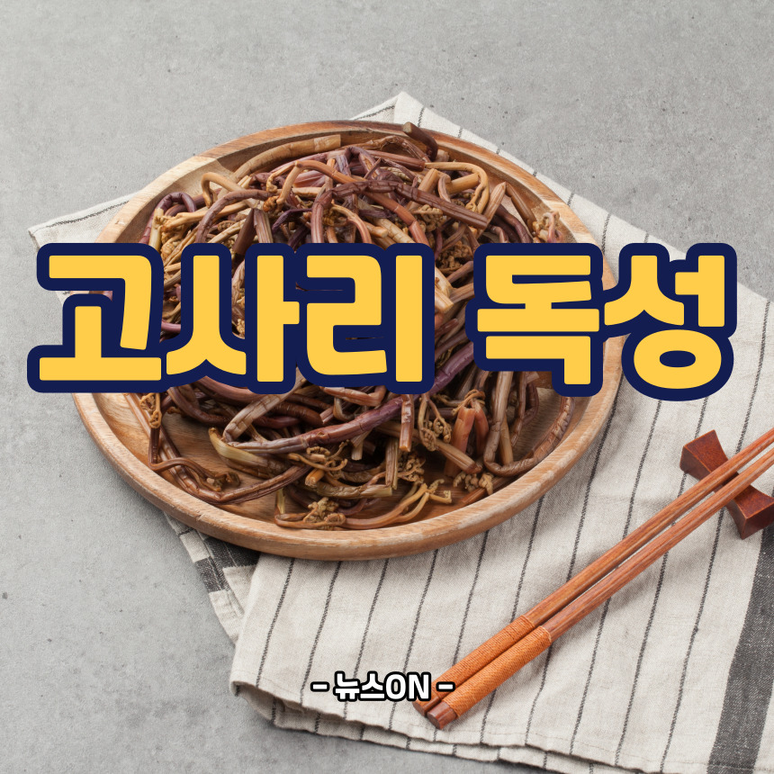 고사리 독성