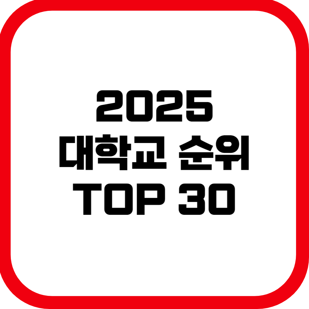 2025 대학교 순위 TOP 30 한눈에 정리