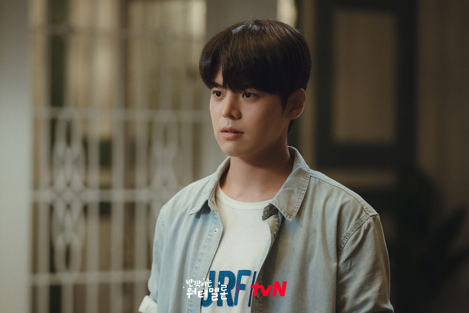 반짝이는 워터멜론