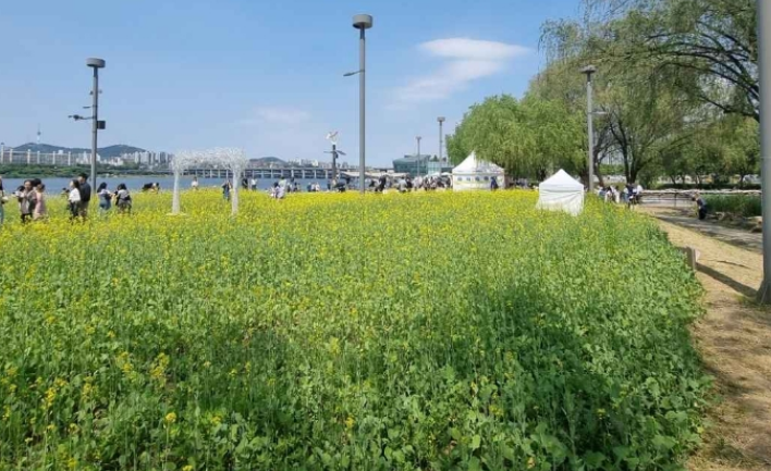 2024년 한강서래섬