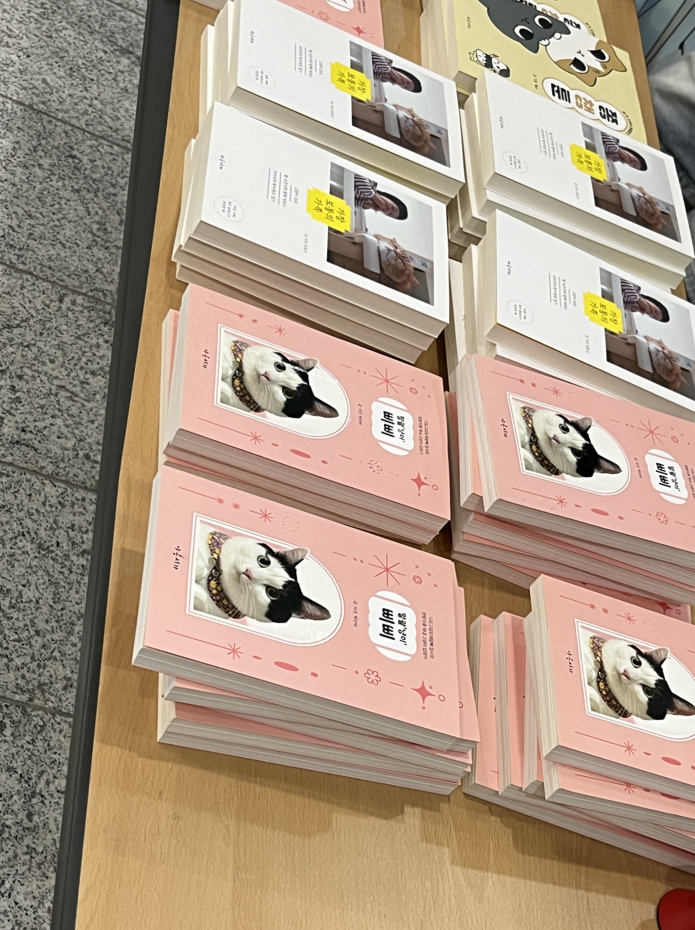 냥냥이학술대회