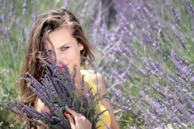 정읍 허브원 라벤더 농원