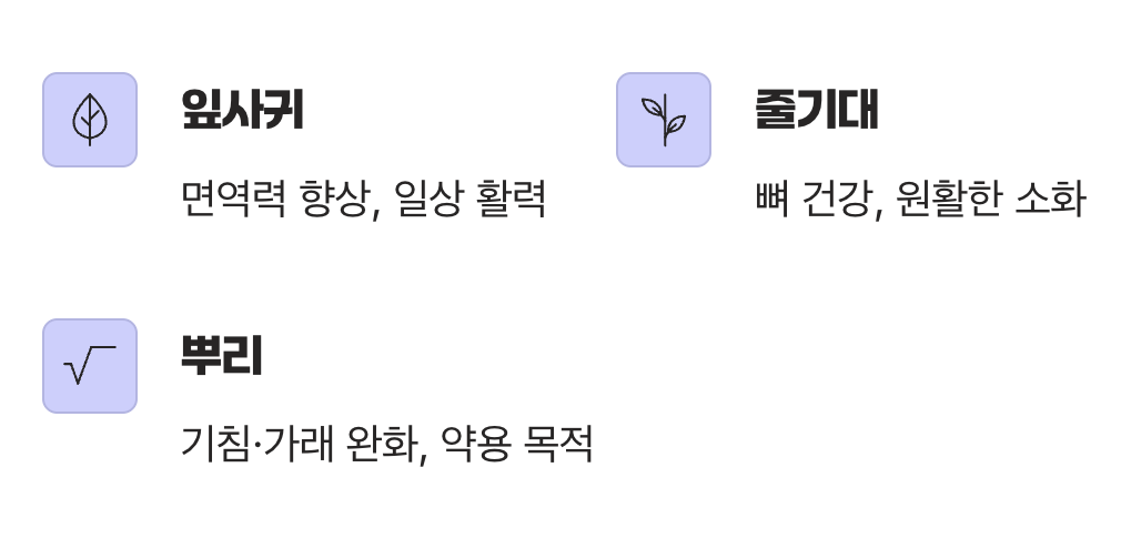 최종 결론: 목적에 맞는 지혜로운 선택