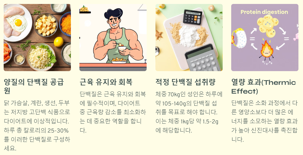 단백질 중심 식단