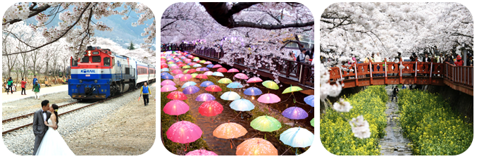 진해 벚꽃 축제, 진해군항제