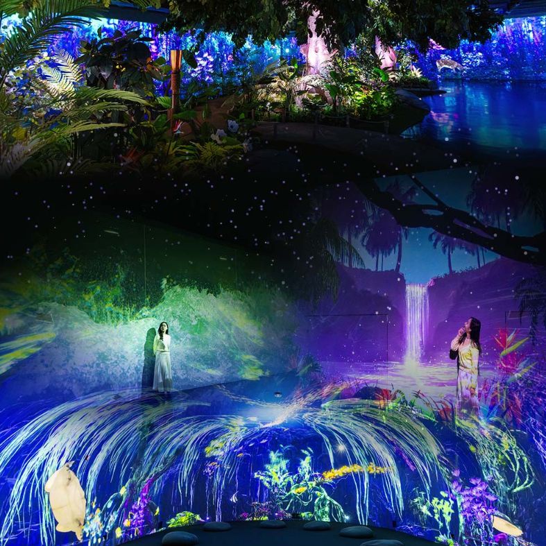 정글미디어파크