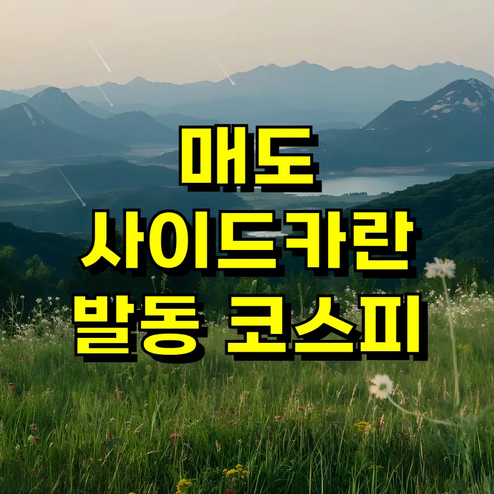 매도 사이드카란 발동 코스피