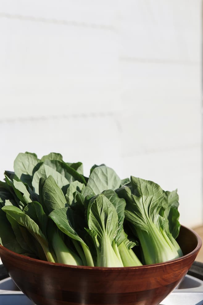 청경채 – 실내에서 물만 줘도 잘 자라는 아삭한 채소