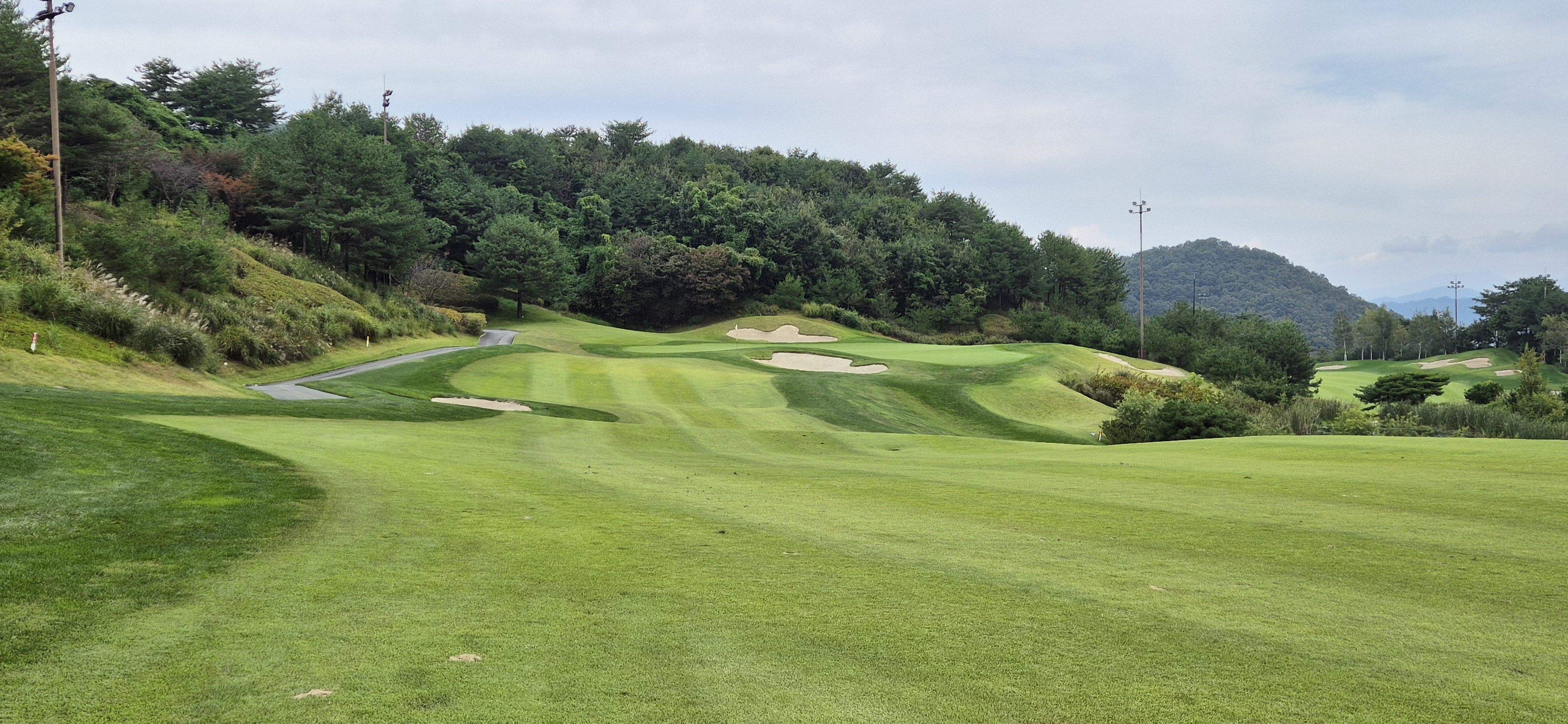 소노펠리체cc이스트