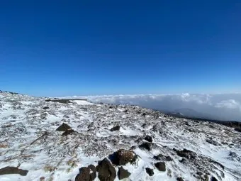 한라산 탐방로예약 시스템 등산 코스_23