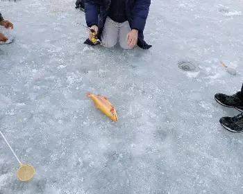 홍천강 꽁꽁축제_17