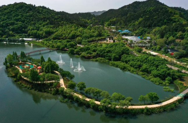 2025 함평 나비대축제